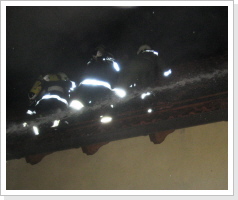 Atemschutztrupp der FF Mariasdorf geht über Leiter  in den Dachstuhl vor.
